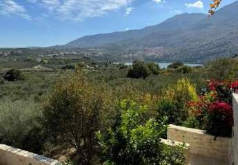 458616-Vorschaubild3