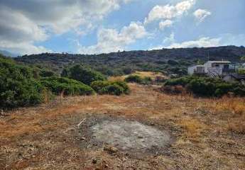 Kreta, Sisi: Baugrundstück im Zentrum des Dorfes zu verkaufen