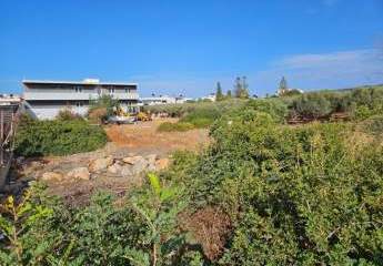 458617-Vorschaubild3