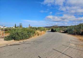 458617-Vorschaubild4