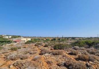 460122-Vorschaubild3