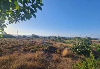 Kreta, Stavros: Land in Akrotiri mit Meerblick zu verkaufen