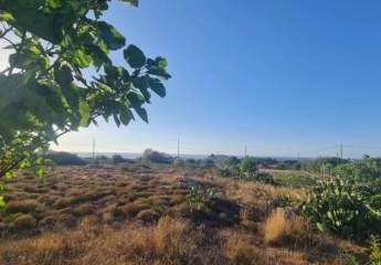 460123-Vorschaubild2