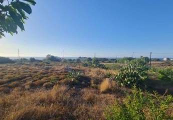 460123-Vorschaubild3