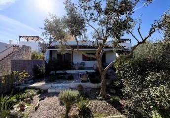 461585-Vorschaubild2