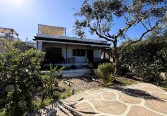 461585-Vorschaubild3