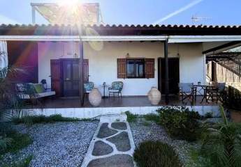 461585-Vorschaubild4