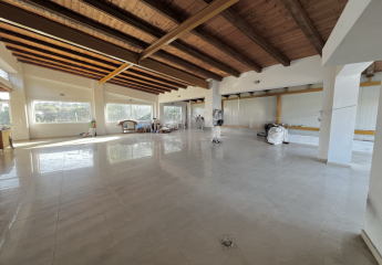 461850-Vorschaubild2