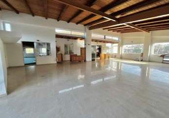 461850-Vorschaubild3