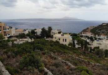 462876-Vorschaubild4