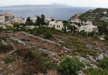 462877-Vorschaubild4