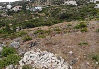 462878-Vorschaubild2