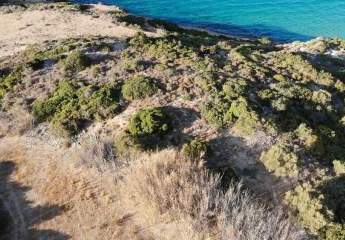 462879-Vorschaubild2