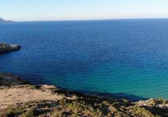 462879-Vorschaubild3