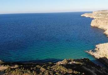 462879-Vorschaubild4