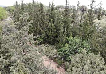 Kreta, Patima: Erstklassiges Baugrundstück mit Meer- und Bergblick nahe Georgioupoli zu verkaufen