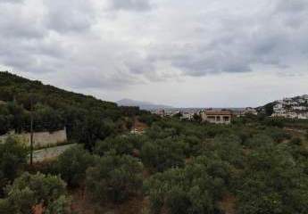 463512-Vorschaubild3