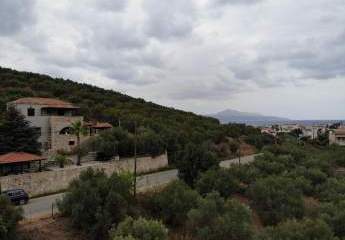 463512-Vorschaubild4