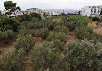 463513-Vorschaubild2