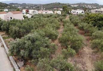 463513-Vorschaubild3