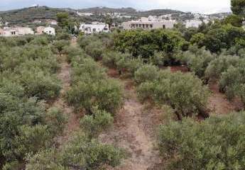 463513-Vorschaubild4