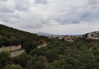 463514-Vorschaubild3