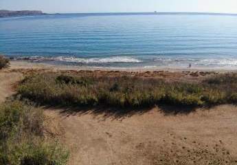 463515-Vorschaubild3