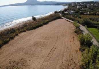 463515-Vorschaubild4