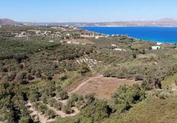 463516-Vorschaubild2