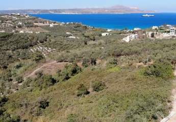 463516-Vorschaubild3