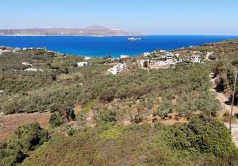 463516-Vorschaubild4