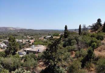 463517-Vorschaubild2