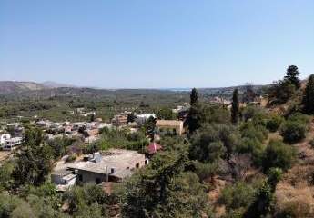 463517-Vorschaubild3