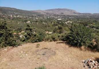 463517-Vorschaubild4