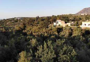 Kreta, Neo Chorio: Charmantes Baugrundstück mit Olivenbäumen und Panoramablick im Apokoronas zu verkaufen