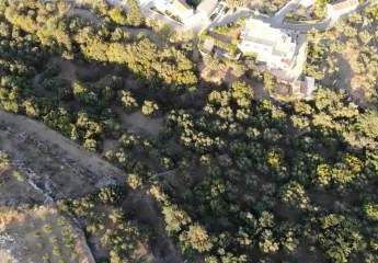 463518-Vorschaubild3