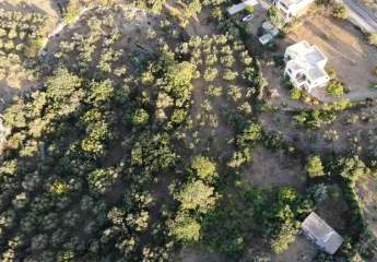 463518-Vorschaubild4