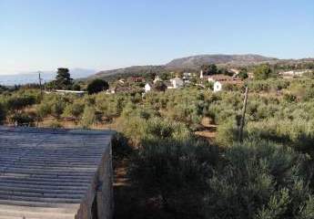 463519-Vorschaubild2