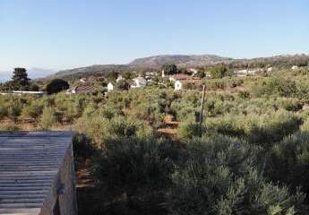 463519-Vorschaubild3