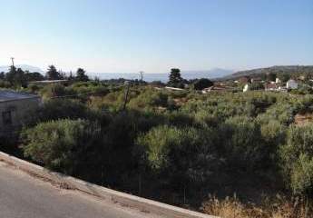 463519-Vorschaubild4