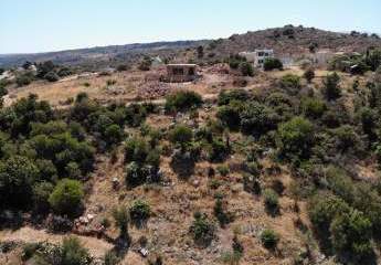 463565-Vorschaubild2