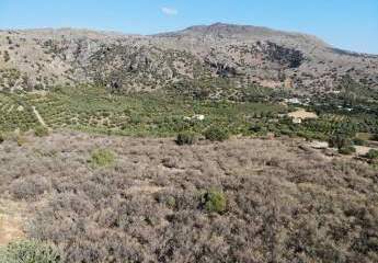 463566-Vorschaubild3