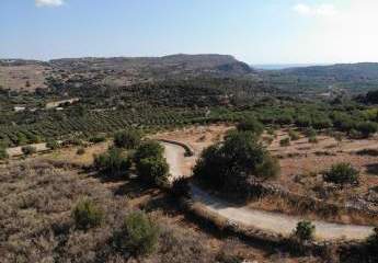 463566-Vorschaubild4