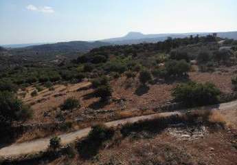 463567-Vorschaubild4