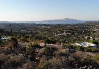 463569-Vorschaubild2