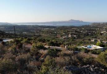 463569-Vorschaubild3