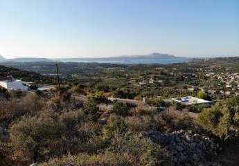 463569-Vorschaubild4