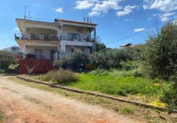 463874-Vorschaubild2