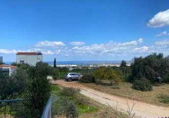 463874-Vorschaubild3