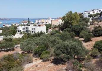 463875-Vorschaubild2